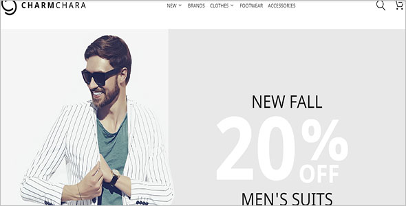 31+ Multi Store Magento Templates Free Website Templates