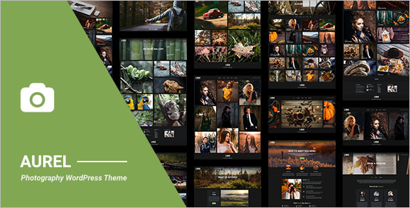 Fully Responsive WordPress Theme