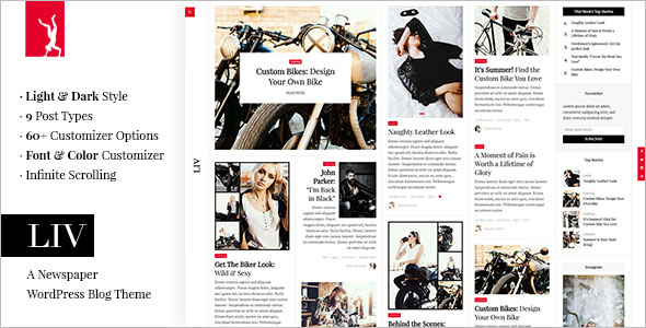 Fully responsive Newspaper WordPress Theme