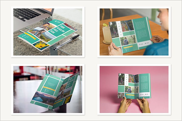 Half Fold Brochure Template Bundle