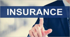 11+ Insurance Landing Page Templates