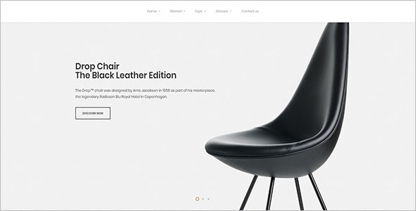 Multi Purpose Website Template