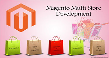 Multi Store Magento Templates