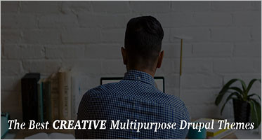Multiconcept Drupal 8 Themes