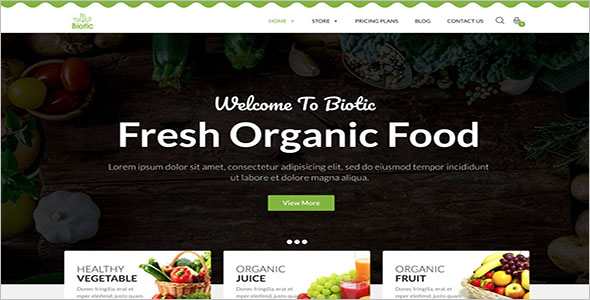 Organic Food Blog WordPress Theme