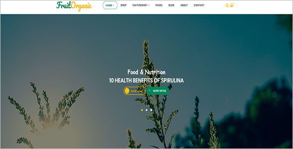 Organic Food Magento Template