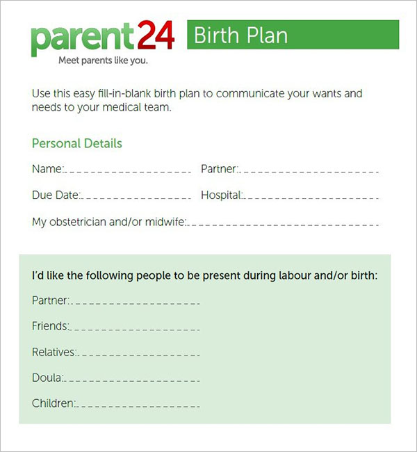 50-free-birth-plan-templates-word-pdf-formats-creativetemplate