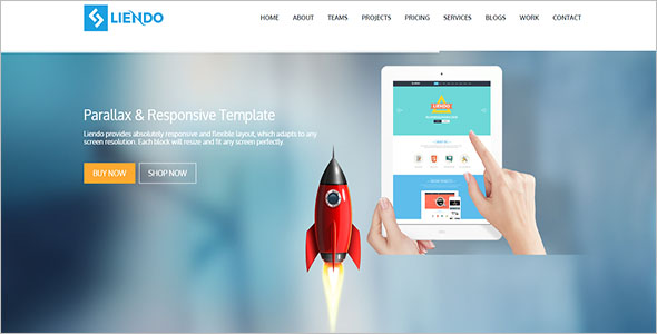 Responsive Marketing Landing Page Template