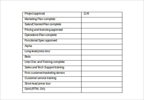 Sample Product Strategy Template