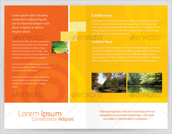 Simple Half Fold Brochure Template