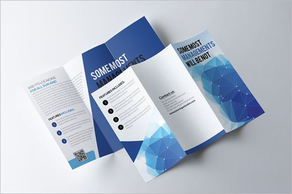 Simple Law Firm Brochure Template