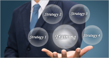 Training Strategy Templates
