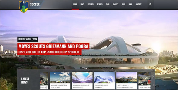 Website Theme for Sports Example