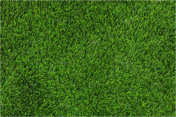 Artificial Grass Texture Design