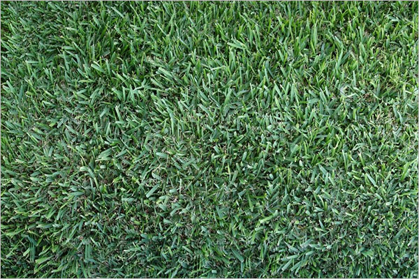 Best Carpet texture Design