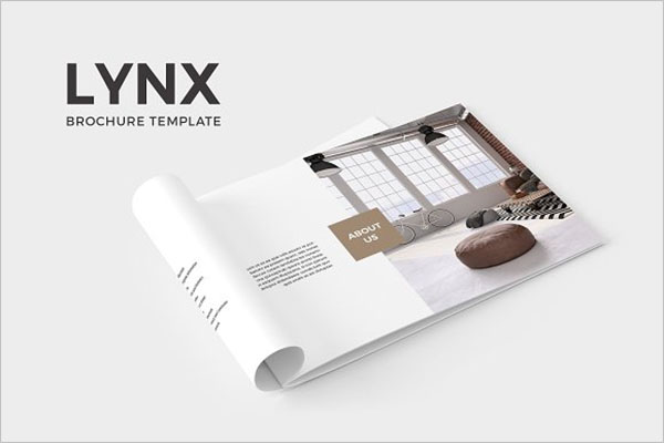 Best PrintableÂ  Brochure Template