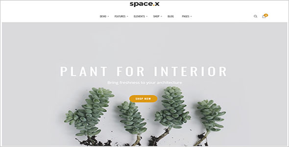 Kitchen Furniture WordPress Theme