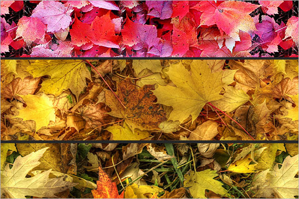 Leaves Carpet Pattern Design