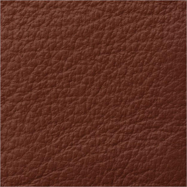 Sample Leather Texture Design