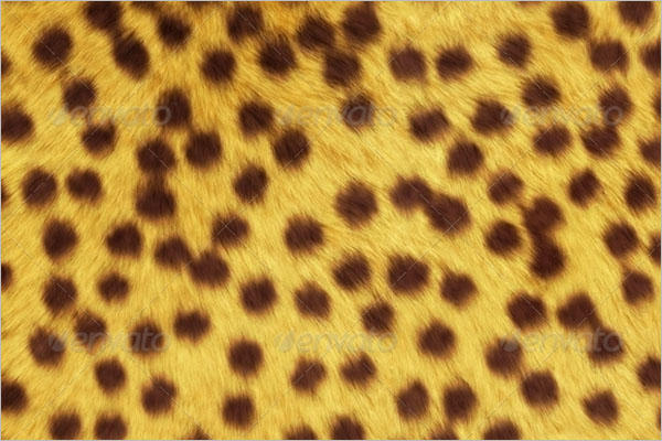 Animal Texture Backgrounds