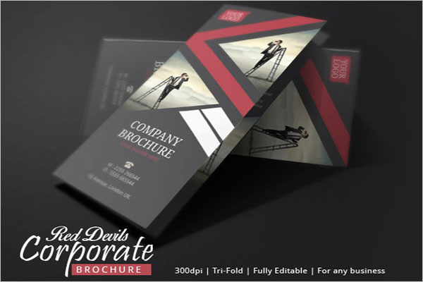 Brochure Design For Your Business