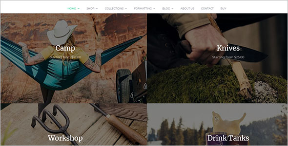 ECommerce WordPress Opencart Theme
