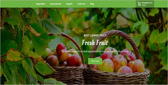 EcoOrganic Prestashop 1.7 Theme