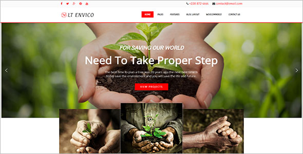 Environmental WordPress Theme Ideas