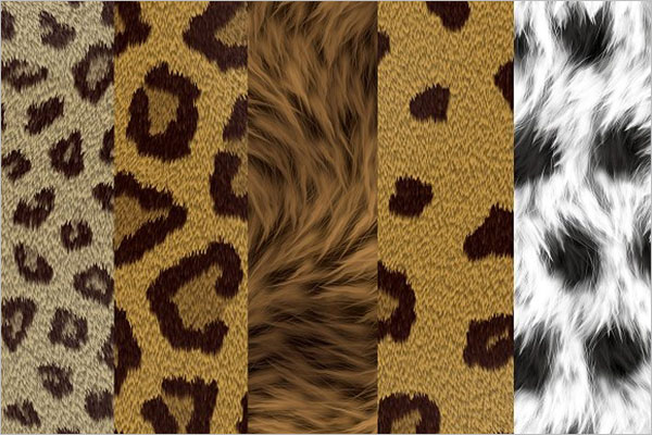 Excellent Animal Texture