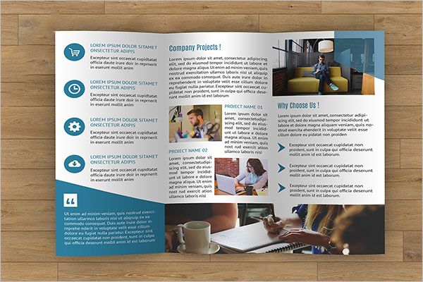 Free Tri-Fold Brochure Dimensions