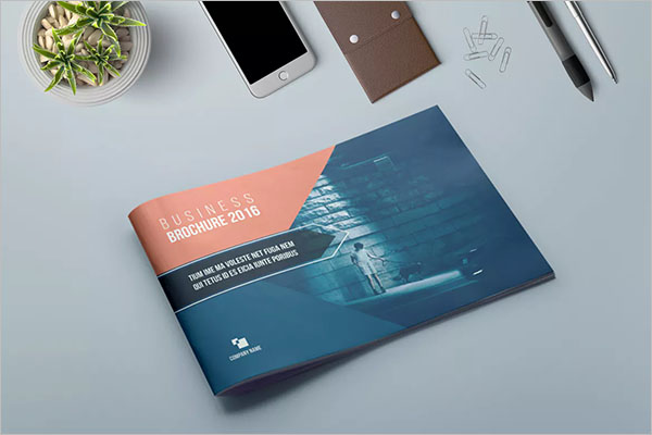 Graphic Landscape Brochure Design