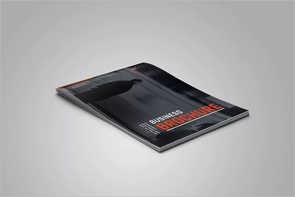 Landscape Brochure Holder Design