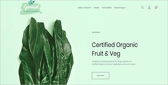 Organic Food Magento Theme