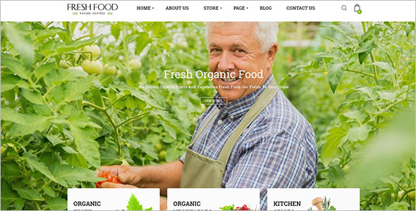 Organic Food Opencart Template