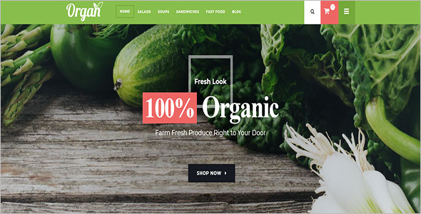 Organic Store WooCommerce Theme