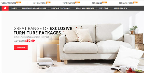 Best Shopify Website Theme