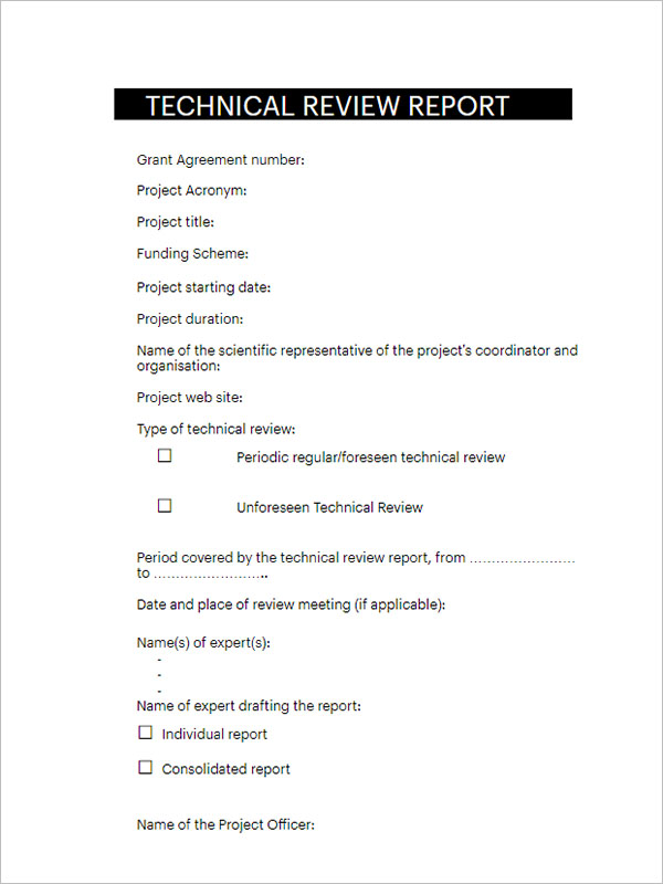 Business Report Template Free Download