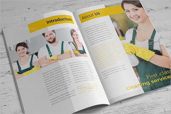 Cleaning Company Brochure Free Download