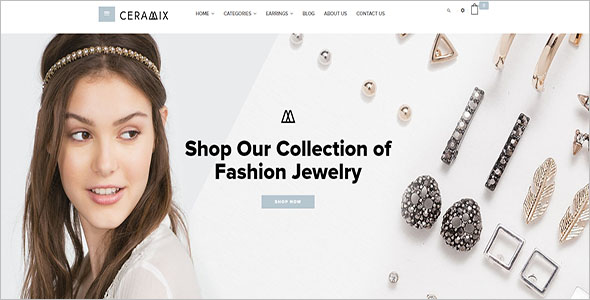 Elegant Shopify Website Theme