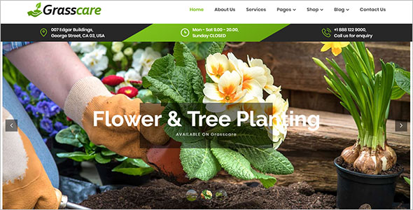 Lawn Care WordPress Theme