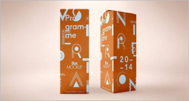 Long Box Mockup