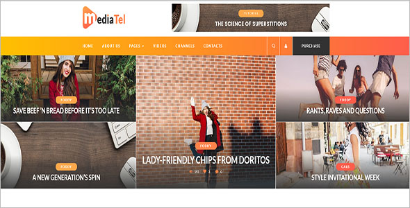 Media Video WordPress Theme