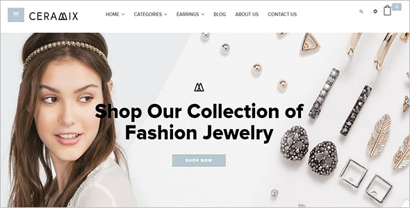 Modern Shopify ecommerce Theme