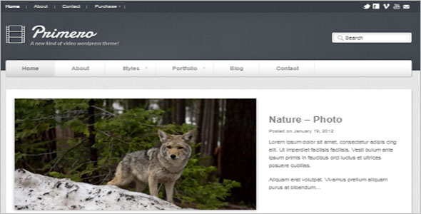 Premium Video WordPress Theme