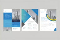 Professional Business Flyer Template