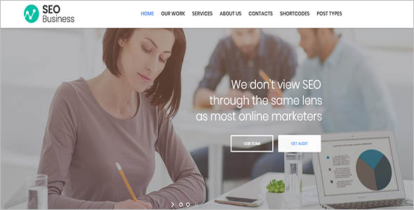 Seo Plan WordPress Theme