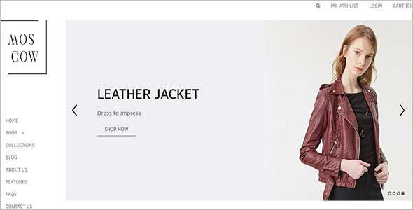 Shopify Ecommerce Website Theme