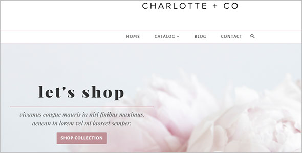 Shopify ecommerce Theme Example