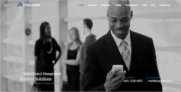 Wordpress Seo Agency Theme