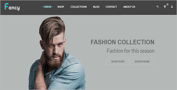 customizable eCommerce Shopify Theme